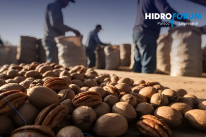 China extiende seis meses investigación contra pecanas de México y EE.UU.