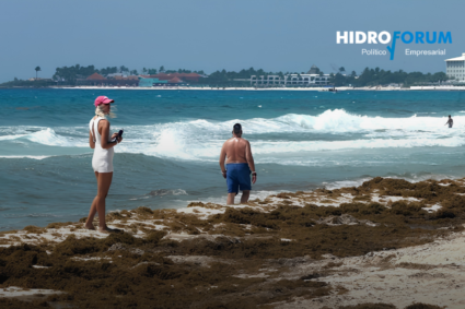 Hoteles de Quintana Roo destinan millones de dólares para enfrentar el sargazo