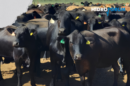 Industria cárnica pide aumentar recursos para sanidad agroalimentaria en 2027