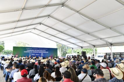 PEQUEÑOS PRODUCTORES RECIBEN APOYOS PARA PROTEGER A SU GANADO DEL GUSANO BARRENADOR
