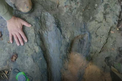 INAH identifica al menos 50 huellas de dinosaurios en Michoacán